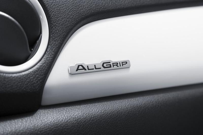 Dashboard Emblem 'Allgrip'